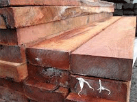 A stong and colourful timber used in furniture and retaining walls
